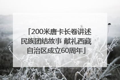200米唐卡长卷讲述民族团结故事 献礼西藏自治区成立60周年