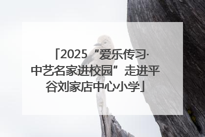 2025“爱乐传习·中艺名家进校园”走进平谷刘家店中心小学