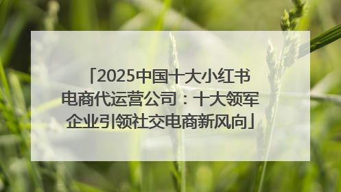2025中国十大小红书电商代运营公司：十大领军企业引领社交电商新风向