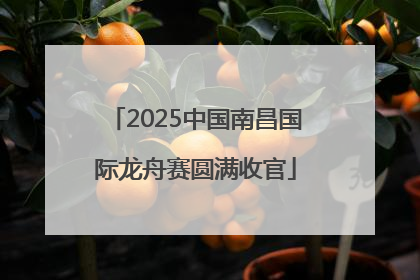 2025中国南昌国际龙舟赛圆满收官