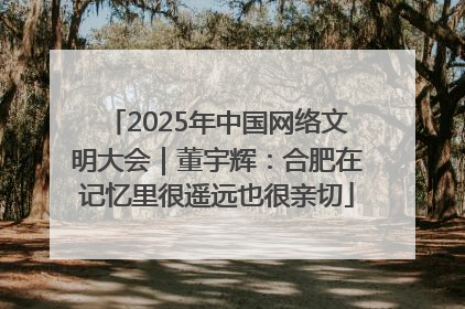 2025年中国网络文明大会｜董宇辉：合肥在记忆里很遥远也很亲切