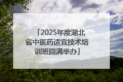 2025年度湖北省中医药适宜技术培训班圆满举办