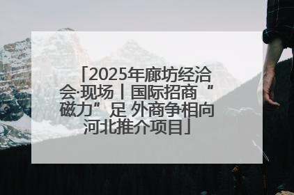 2025年廊坊经洽会·现场丨国际招商“磁力”足 外商争相向河北推介项目