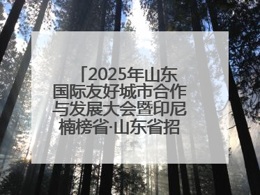 2025年山东国际友好城市合作与发展大会暨印尼楠榜省·山东省招商交流会在济南槐荫举行