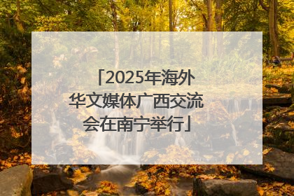 2025年海外华文媒体广西交流会在南宁举行