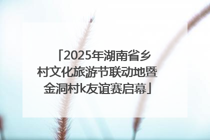 2025年湖南省乡村文化旅游节联动地暨金洞村k友谊赛启幕