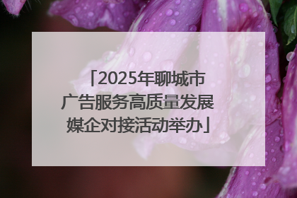 2025年聊城市广告服务高质量发展媒企对接活动举办