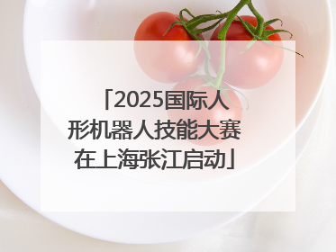 2025国际人形机器人技能大赛在上海张江启动