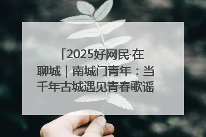 2025好网民·在聊城｜南城门青年：当千年古城遇见青春歌谣 一湖碧水见证的“聊城式浪漫”