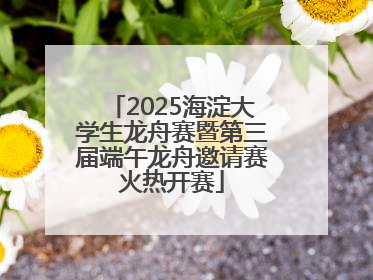 2025海淀大学生龙舟赛暨第三届端午龙舟邀请赛火热开赛