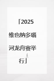 2025维也纳多瑙河龙舟赛举行