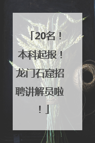 20名！本科起报！龙门石窟招聘讲解员啦！