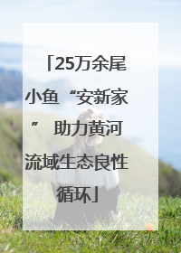 25万余尾小鱼“安新家” 助力黄河流域生态良性循环