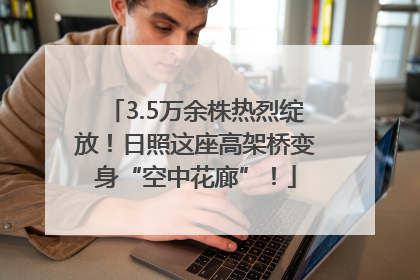 3.5万余株热烈绽放！日照这座高架桥变身“空中花廊”！