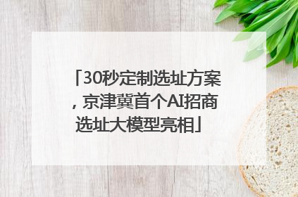 30秒定制选址方案，京津冀首个AI招商选址大模型亮相