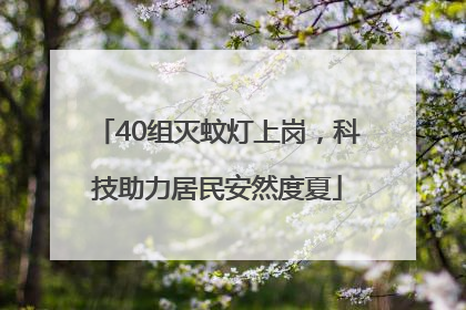 40组灭蚊灯上岗，科技助力居民安然度夏