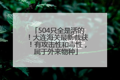 504只全是活的！大连海关最新截获！有攻击性和毒性，属于外来物种