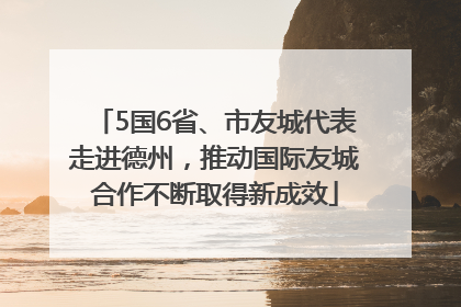 5国6省、市友城代表走进德州，推动国际友城合作不断取得新成效