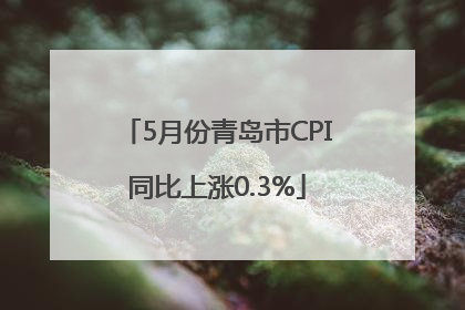5月份青岛市CPI同比上涨0.3%