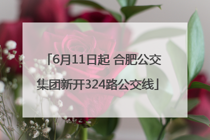 6月11日起 合肥公交集团新开324路公交线