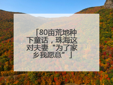 80亩荒地种下童话，珠海这对夫妻“为了家乡我愿意”