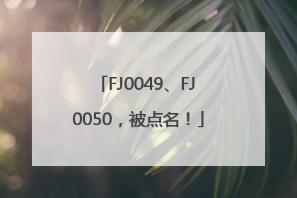 FJ0049、FJ0050，被点名！
